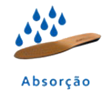 Absorção